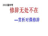 2022年中考语文二轮专题复习：《修辞手法——对偶》课件（共19张PPT）