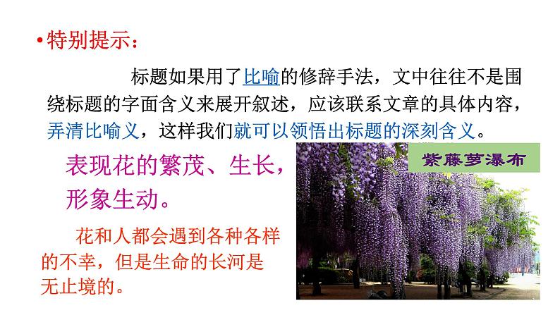 2022年中考语文二轮专题复习：《记叙文标题理解及作用》课件（共23张PPT）第7页