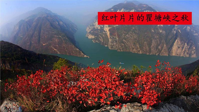 人教部编版 (五四制) 语文八年级上册10 三峡课件PPT07