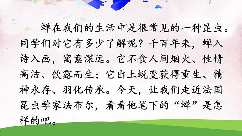 人教部编版 (五四制) 语文八年级上册20 蝉课件PPT03