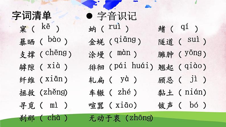 人教部编版 (五四制) 语文八年级上册20 蝉课件PPT04