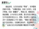 人教部编版 (五四制)语文八年级上册 第四单元  17 昆明的雨【课件+教案+音视频素材】