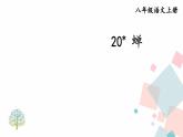 人教部编版 (五四制)语文八年级上册 第五单元  20 蝉【课件+教案+音视频素材】