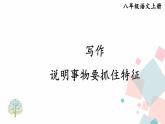 人教部编版 (五四制)语文八年级上册 第五单元  写作 说明事物要抓住特征【课件+教案+音视频素材】