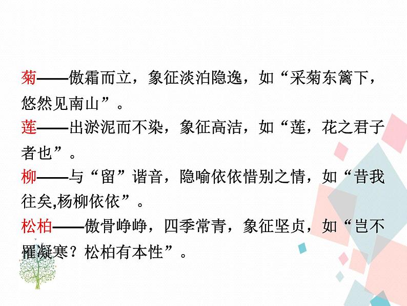 人教部编版 (五四制)语文八年级上册 15.白杨礼赞【教学课件+教案】03