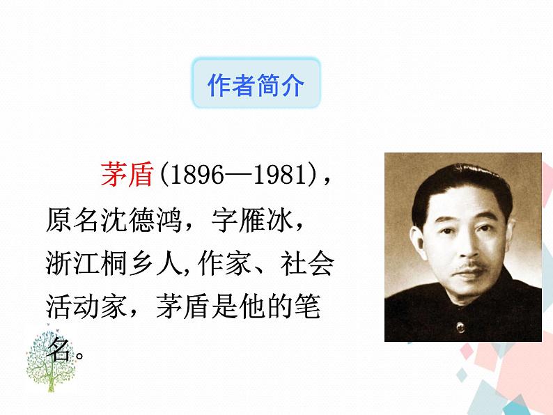 人教部编版 (五四制)语文八年级上册 15.白杨礼赞【教学课件+教案】07