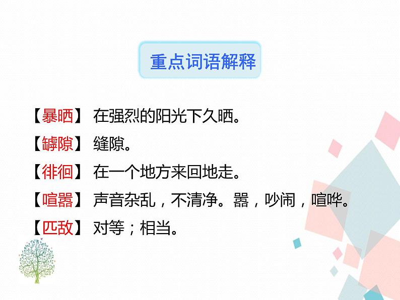 人教部编版 (五四制)语文八年级上册 20.蝉【教学课件+教案】06
