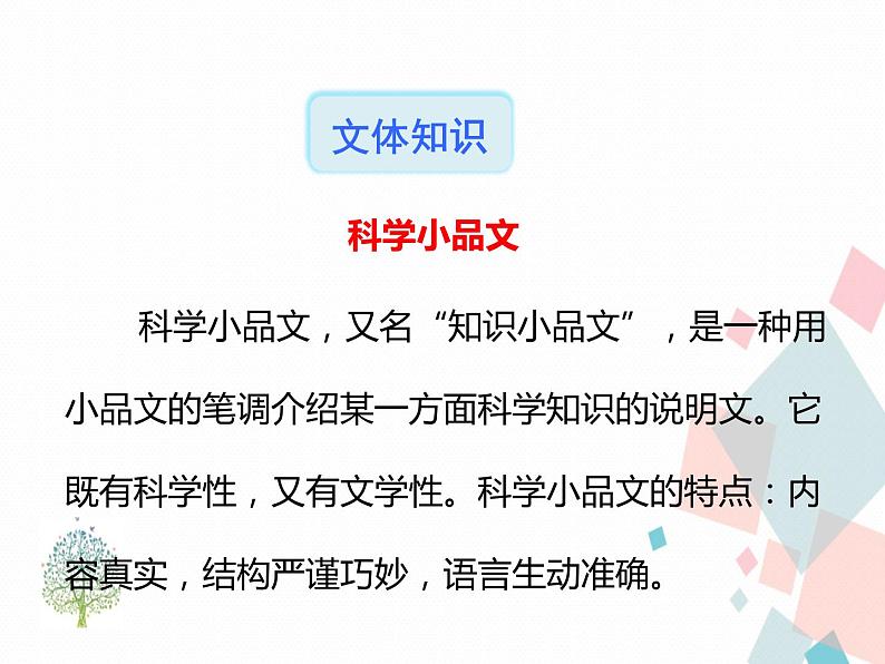 人教部编版 (五四制)语文八年级上册 20.蝉【教学课件+教案】08