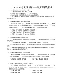 2022年中考语文二轮复习专题：词义理解与辨析