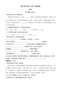 精品解析：2020年江苏省苏州市梁丰初级中学中考二模语文试题（解析版+原卷版）
