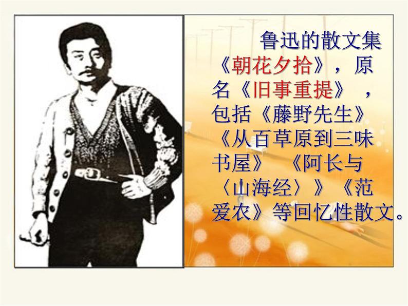 10《阿长与山海经》精品教学课件第6页