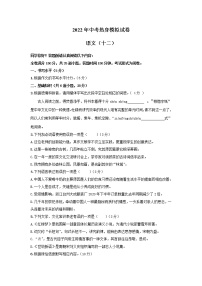 2022年中考热身模拟试卷语文（十一）