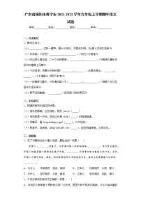 广东省揭阳市普宁市2021-2022学年九年级上学期期中语文试题（word版 含答案）