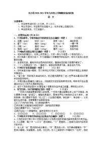 湖南省长沙市长沙县2020-2021学年九年级上学期期末统考语文试卷（word版 含答案）