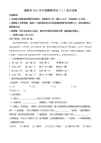 2021年河南省洛阳市中考二模语文试题及答案