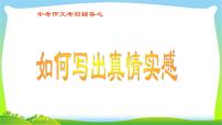 中考语文考前辅导11如何写出真情实感优质课件PPT