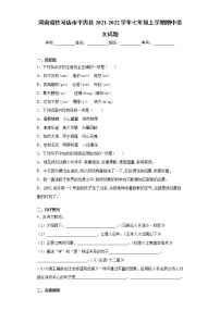 河南省驻马店市平舆县2021-2022学年七年级上学期期中语文试题（word版 含答案）