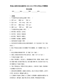 黑龙江省哈尔滨市通河县2020-2021学年九年级上学期期末语文试题（word版 含答案）