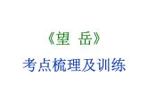 期末复习古诗文21-2.望岳 课件-2021-2022学年七年级语文下册部编版