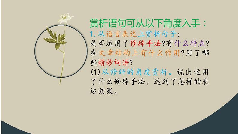 第5讲-重点词句的理解与赏析 课件-2022学年初中记叙文阅读考点精讲（初一拔高适用）07