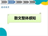 2021年暑假七年级语文衔接拔高（课件、教案、学案、练习）第9讲散文阅读之整体感知