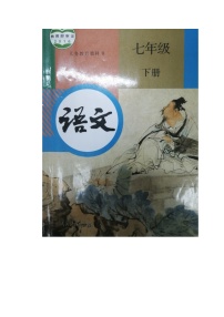 初中语文人教部编版七年级下册游山西村教案