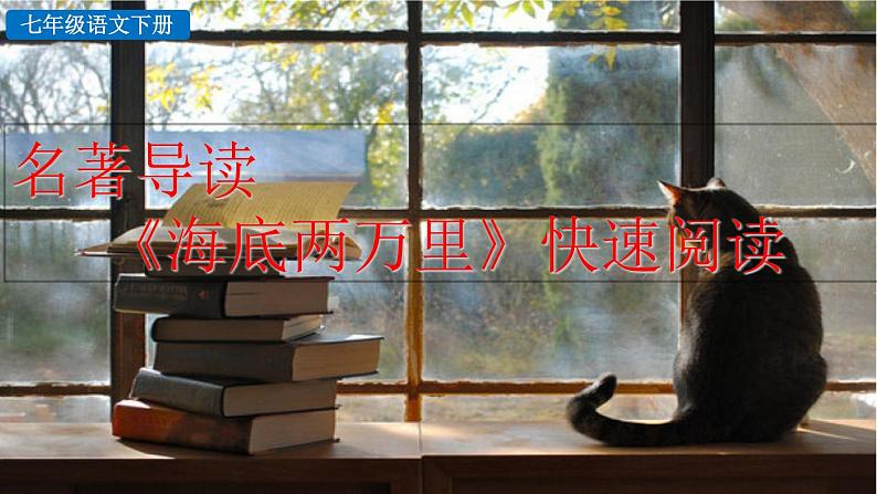 名著阅读《海底两万里》快速阅读 课件03