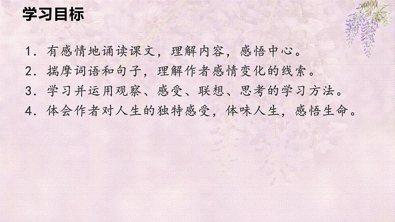 第17课 紫藤萝瀑布 课件第3页