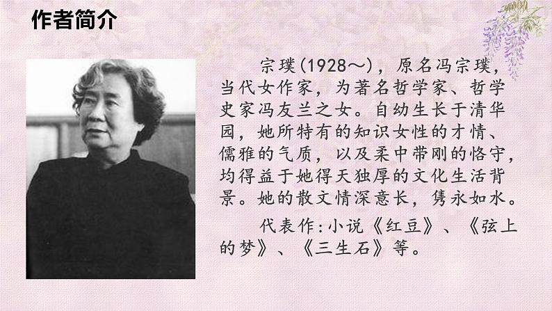 第17课 紫藤萝瀑布 课件第4页