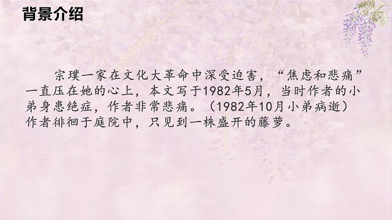 第17课 紫藤萝瀑布 课件第6页