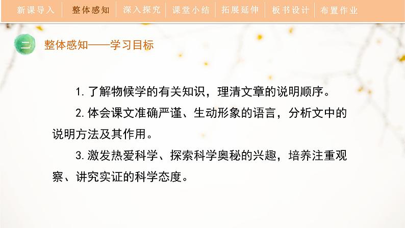 5《大自然的语言》教学课件第6页