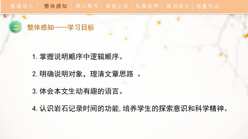 8《时间的脚印》教学课件第6页
