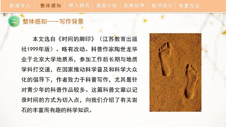 8《时间的脚印》教学课件第8页