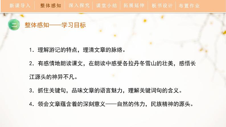 18《在长江源头各拉丹冬》教学课件06