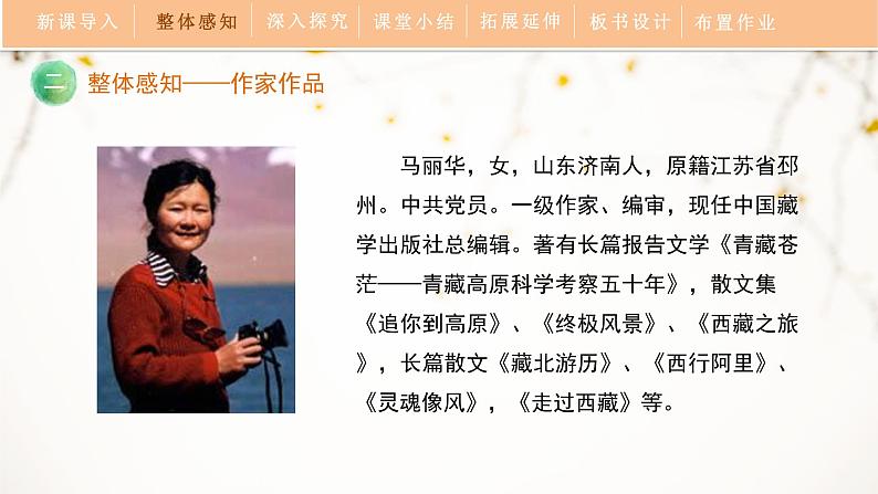 18《在长江源头各拉丹冬》教学课件07