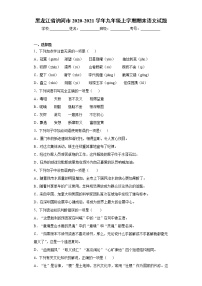 黑龙江省讷河市2020-2021学年九年级上学期期末语文试题（word版 含答案）