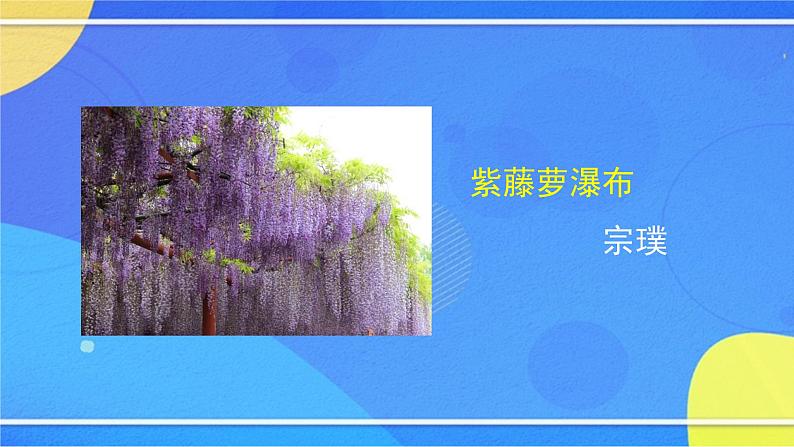 初一语文(统编版)-《紫藤萝瀑布》（1）-2PPT课件第3页