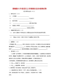 人教部编版七年级语文上册第一学期期末联考综合检测试题测试卷 (63)