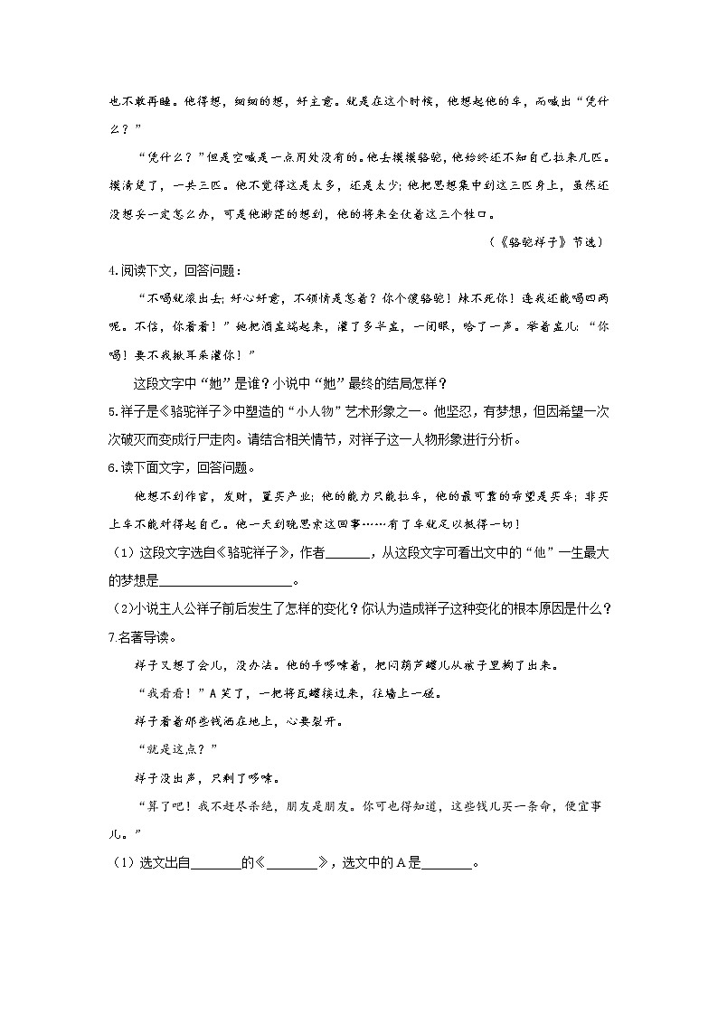 2022届中考语文一轮复习名著阅读专项练习《骆驼祥子》第2页