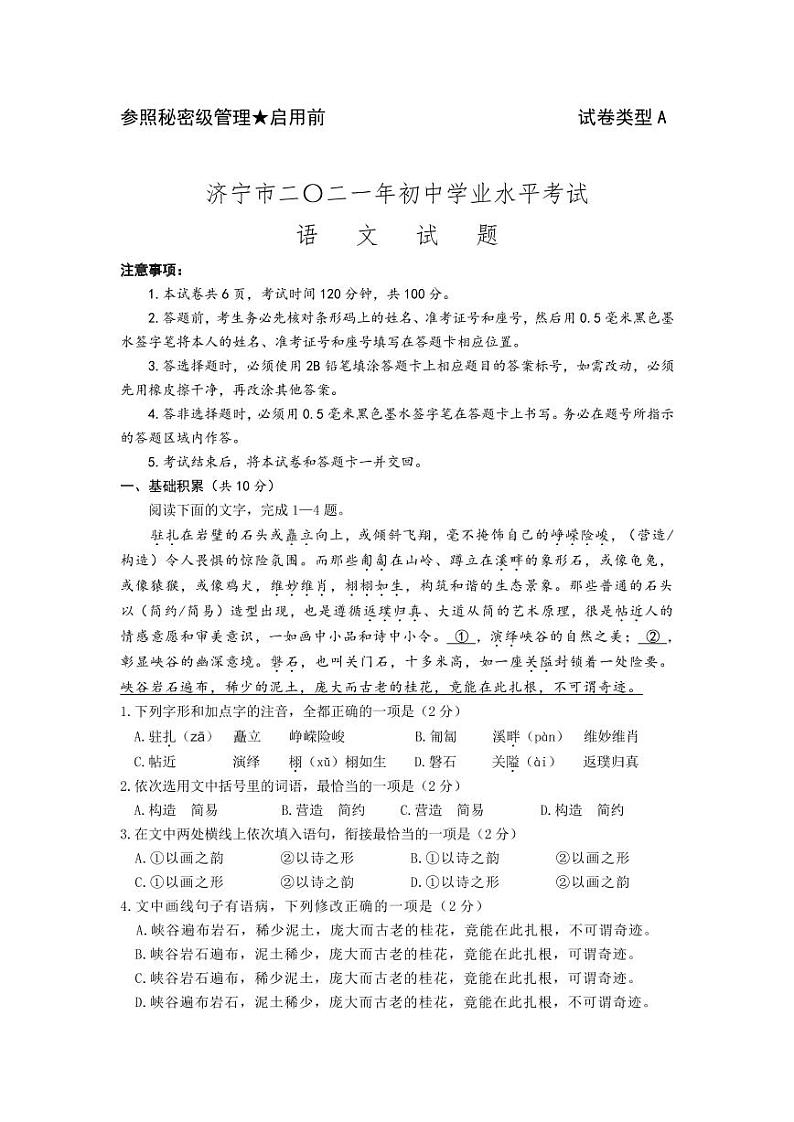 2021山东省济宁市中考语文试题01