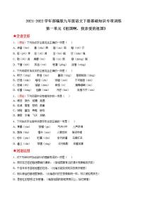 第一单元《祖国啊，我亲爱的祖国》2021-2022学年九年级语文下册基础知识专项复习（部编版）