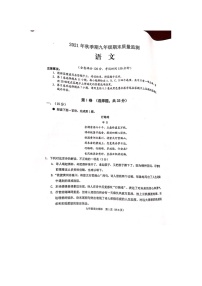 玉林市2021年秋季期九年级期末质检语文试卷含答案