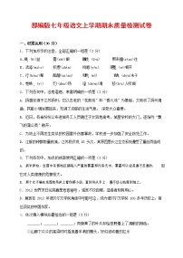 人教部编版七年级语文上册 第一学期期末复习质量综合检测试题测试卷 (95)