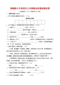人教部编版七年级语文上册 第一学期期末复习质量综合检测试题测试卷 (74)