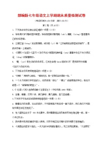 人教部编版七年级语文上册 第一学期期末复习质量综合检测试题测试卷 (102)