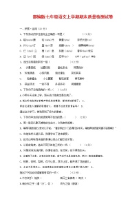 人教部编版七年级语文上册第一学期期末复习质量综合检测试题测试卷 (173)