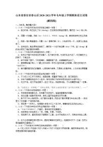 山东省泰安市泰山区2020-2021学年七年级上学期期末语文试卷（word版 含答案）