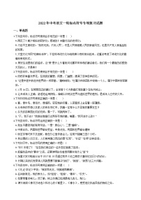 2022年中考语文一轮标点符号专项复习试题