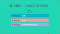 中考语文第17课时八下古诗词(二)课后练本课件