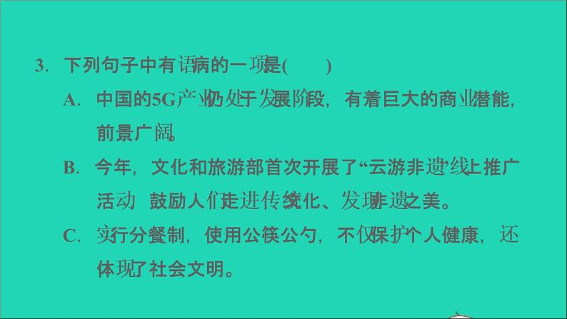 中考语文积累与运用第32课时蹭辨析与修改课后练本课件05